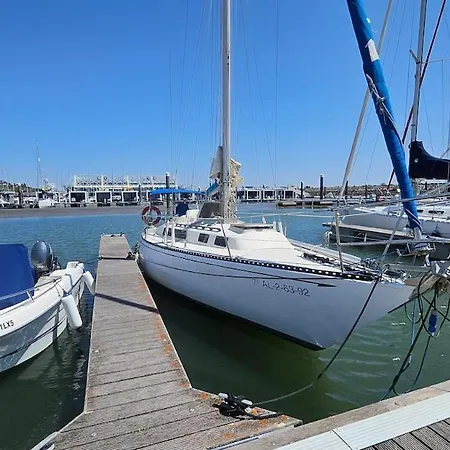 Boat Puma 34